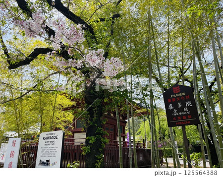 川越の有名観光名所 川越大師喜多院の看板 川越の有名観光名所 川越大師喜多院の看板 125564388