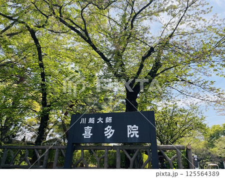 川越の有名観光名所　川越大師喜多院の看板 125564389