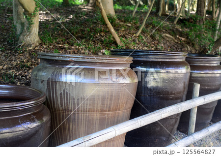 四国村の大谷焼水瓶 四国村の大谷焼水瓶 125564827