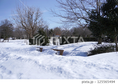 雪に埋まった公園のベンチ03 雪に埋まった公園のベンチ03 125565494