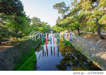 川の水面に映る夙川公園の鯉のぼり　 125565689