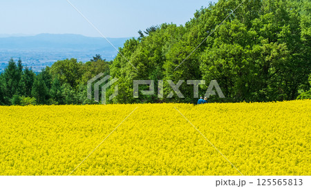 三ノ倉高原菜の花畑 125565813