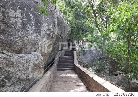 【スリランカ】ダンブッラ石窟寺院 【スリランカ】ダンブッラ石窟寺院 125565826