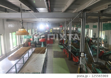 【スリランカ】紅茶工場 125565969