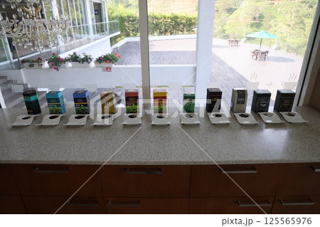 【スリランカ】紅茶 125565976