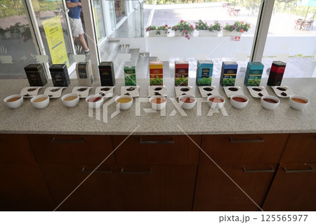 【スリランカ】紅茶 125565977