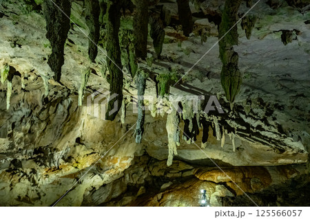 秋芳洞　山口県美祢市 125566057