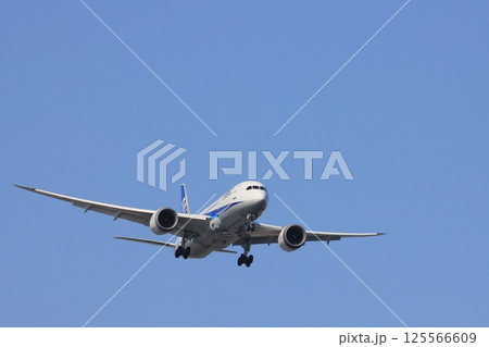 羽田空港に着陸する旅客機　飛行機の着陸進入 125566609