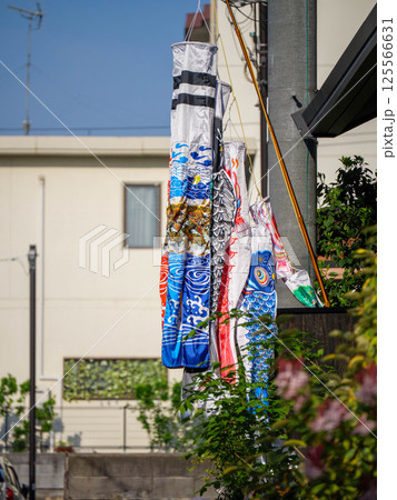 住宅地の鯉のぼり 住宅地の鯉のぼり 125566631