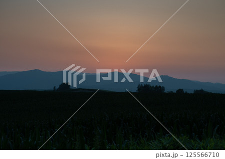 美しい夕暮れの空と夏の丘陵地帯 125566710