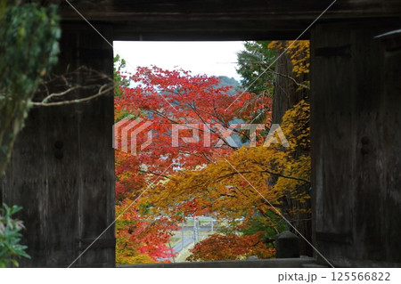龍穏寺の紅葉 125566822