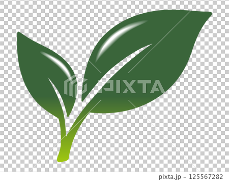 葉子圖示簡單光澤抹茶綠色 125567282