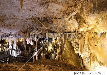 【南大東島】星野洞（鍾乳洞） 125567609