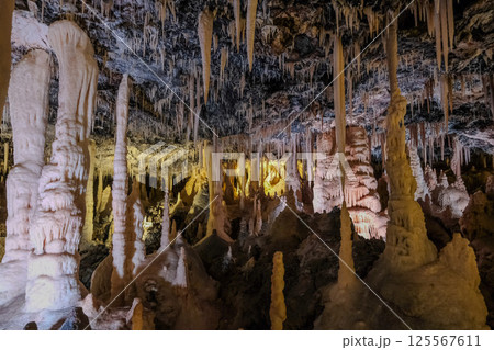 【南大東島】星野洞（鍾乳洞） 125567611