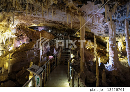 【南大東島】星野洞（鍾乳洞） 125567614