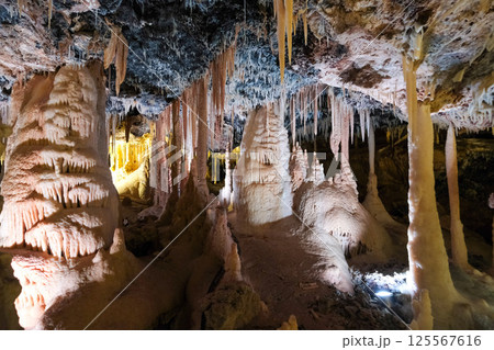 【南大東島】星野洞（鍾乳洞） 125567616