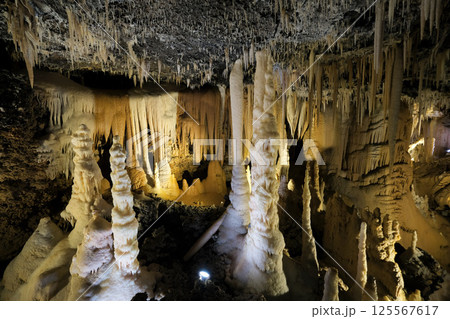 【南大東島】星野洞（鍾乳洞） 125567617