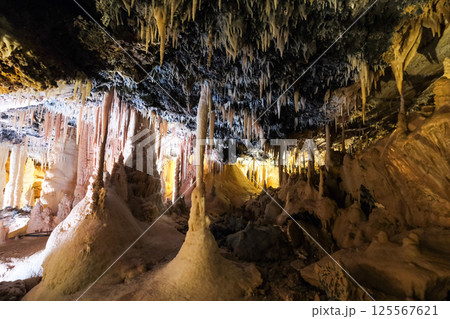 【南大東島】星野洞（鍾乳洞） 125567621