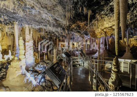 【南大東島】星野洞（鍾乳洞） 125567623