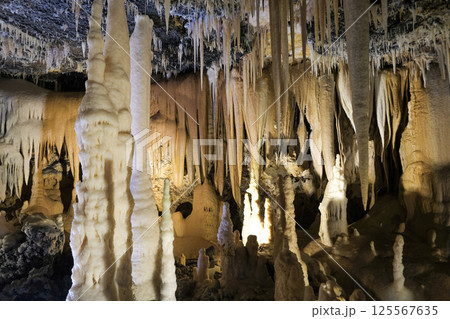 【南大東島】星野洞（鍾乳洞） 125567635
