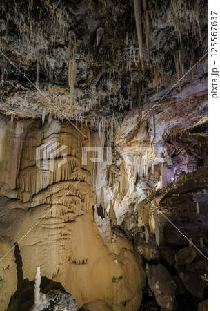 【南大東島】星野洞（鍾乳洞） 125567637