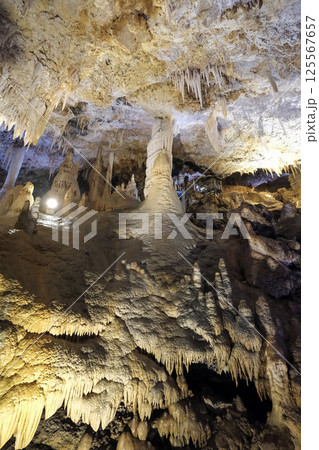 【南大東島】星野洞(鍾乳洞) 【南大東島】星野洞(鍾乳洞) 125567657