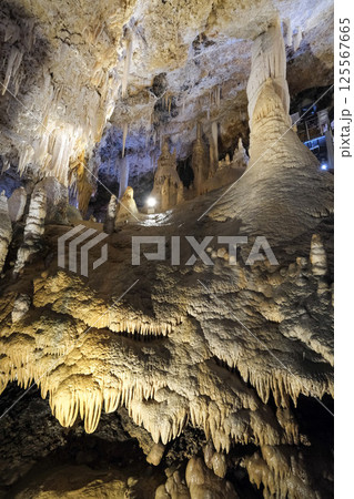 【南大東島】星野洞（鍾乳洞） 125567665