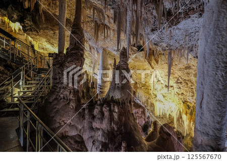 【南大東島】星野洞（鍾乳洞） 125567670