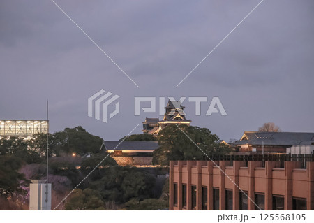 March 24 2025 View of Illuminated Castle and Modern Building in Tranquil Surroundings 125568105