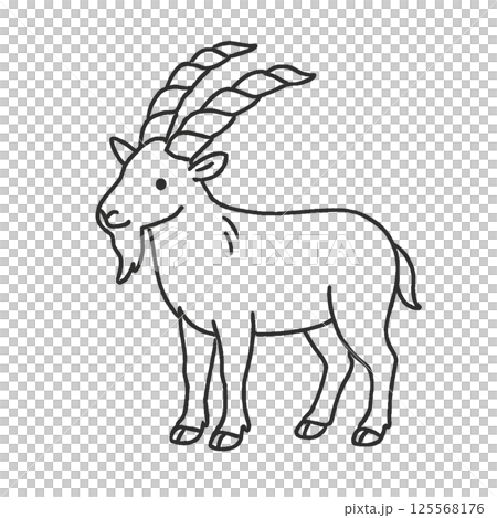 マーコールの線画イラスト、アイコン、素材、背景なし、ヤギ、動物シリーズ 125568176