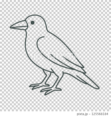 烏鴉線描插畫，圖標，素材，無背景，動物系列 125568184