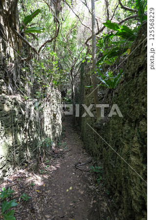 【南大東島】バリバリ岩 【南大東島】バリバリ岩 125568229