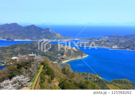【愛媛県】桜咲く積善山から見た ゆめしま海道(生名橋) 【愛媛県】桜咲く積善山から見た ゆめしま海道(生名橋) 125568262