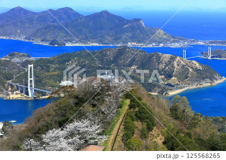 【愛媛県】桜咲く積善山から見た ゆめしま海道(岩城橋と生名橋) 【愛媛県】桜咲く積善山から見た ゆめしま海道(岩城橋と生名橋) 125568265