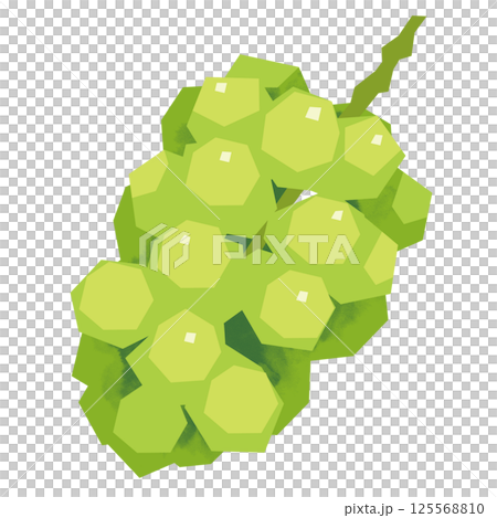 剪紙風格的馬斯喀特 125568810