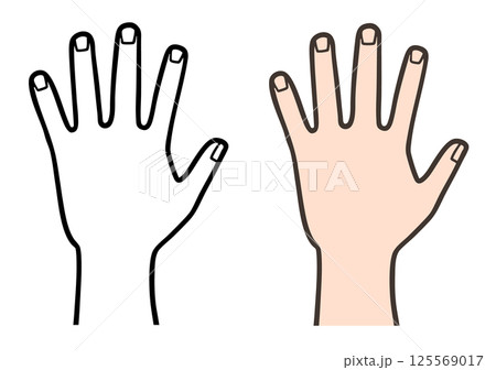 手のイラスト、 シンプルな線画と塗りつぶし 125569017