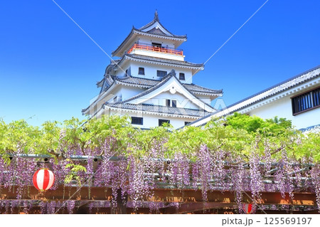 【佐賀県】晴天の唐津城天守閣と満開の藤棚 125569197
