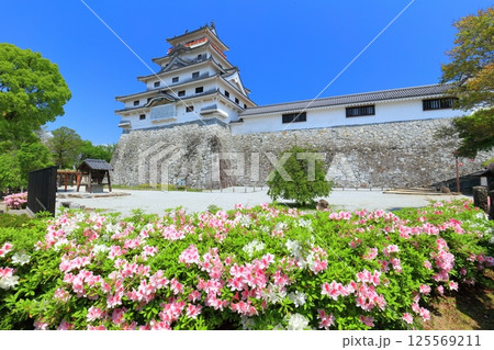 【佐賀県】晴天の唐津城天守閣と満開の躑躅 125569211