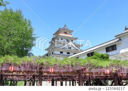 【佐賀県】晴天の唐津城天守閣と満開の藤棚 125569217