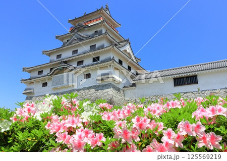 【佐賀県】晴天の唐津城天守閣と満開の躑躅 125569219
