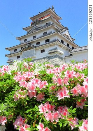 【佐賀県】晴天の唐津城天守閣と満開の躑躅 125569221