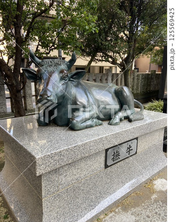 足立区の北野神社の撫牛 125569425
