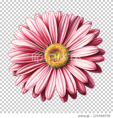 Blush Pink Daisy Flower Seamless Spring Design Blush Pink Daisy Flower Seamless Spring Design 125569770