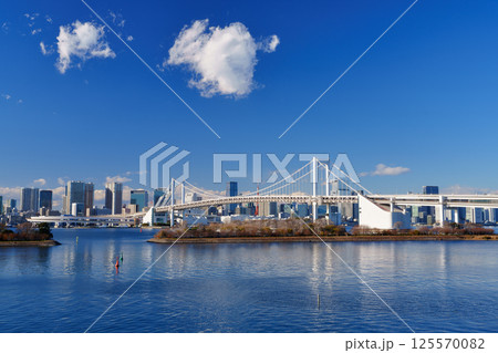 東京湾　レインボーブリッジと海岸の風景 125570082