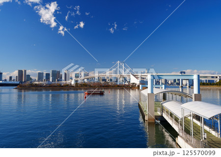東京湾 レインボーブリッジと海岸の風景 東京湾 レインボーブリッジと海岸の風景 125570099