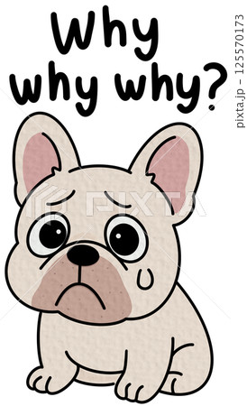 French bulldogs Cute toy dogs with funny muzzles. Adorable puppies play, rest, relax, have fun. Amusing pets, domestic animals. Flat isolated vector illustration on white French bulldogs Cute toy dogs with funny muzzles. Adorable puppies play, rest, relax, have fun. Amusing pets, domestic animals. Flat isolated vector illustration on white 125570173