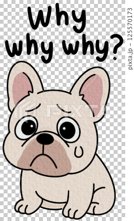 French bulldogs Cute toy dogs with funny muzzles. Adorable puppies play, rest, relax, have fun. Amusing pets, domestic animals. Flat isolated vector illustration on white French bulldogs Cute toy dogs with funny muzzles. Adorable puppies play, rest, relax, have fun. Amusing pets, domestic animals. Flat isolated vector illustration on white 125570173