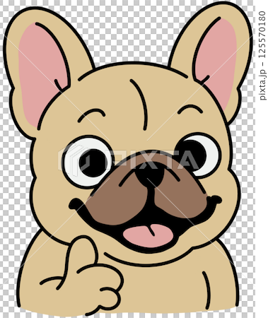 French bulldogs Cute toy dogs with funny muzzles. Adorable puppies play, rest, relax, have fun. Amusing pets, domestic animals. Flat isolated vector illustration on white French bulldogs Cute toy dogs with funny muzzles. Adorable puppies play, rest, relax, have fun. Amusing pets, domestic animals. Flat isolated vector illustration on white 125570180