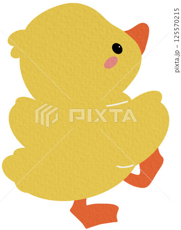 Cute Animal Duck characters. Hand drawn farm animal cartoon design of yellow duck, duckling, chick in different pose. Adorable baby duck illustration for sticker, clipart, education. Cute Animal Duck characters. Hand drawn farm animal cartoon design of yellow duck, duckling, chick in different pose. Adorable baby duck illustration for sticker, clipart, education. 125570215