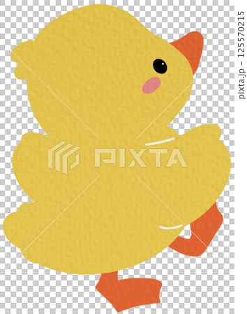 duck, cartoon, chick 125570215